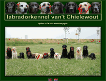 Tablet Screenshot of chielewout.nl